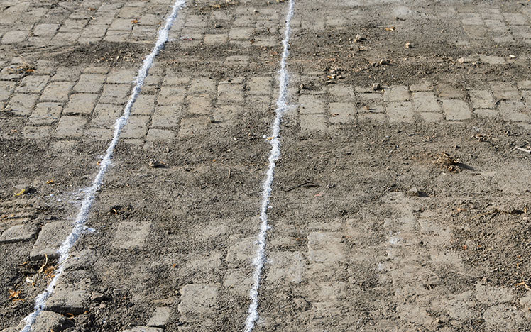 Dig area marked with white chalk